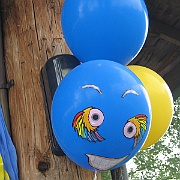 Picture 006